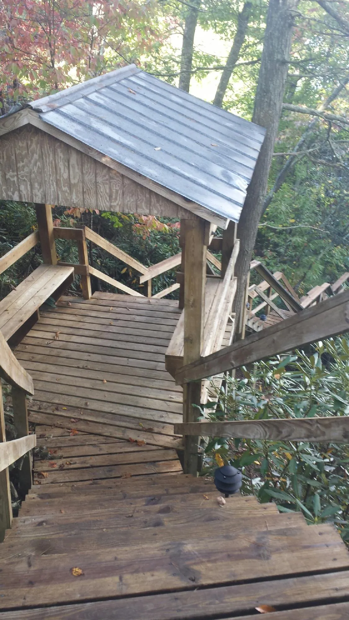 Metal roofed shelter over wooden steps on a wooded walkway — Skylight Repair & Installation work by our crew in Forney